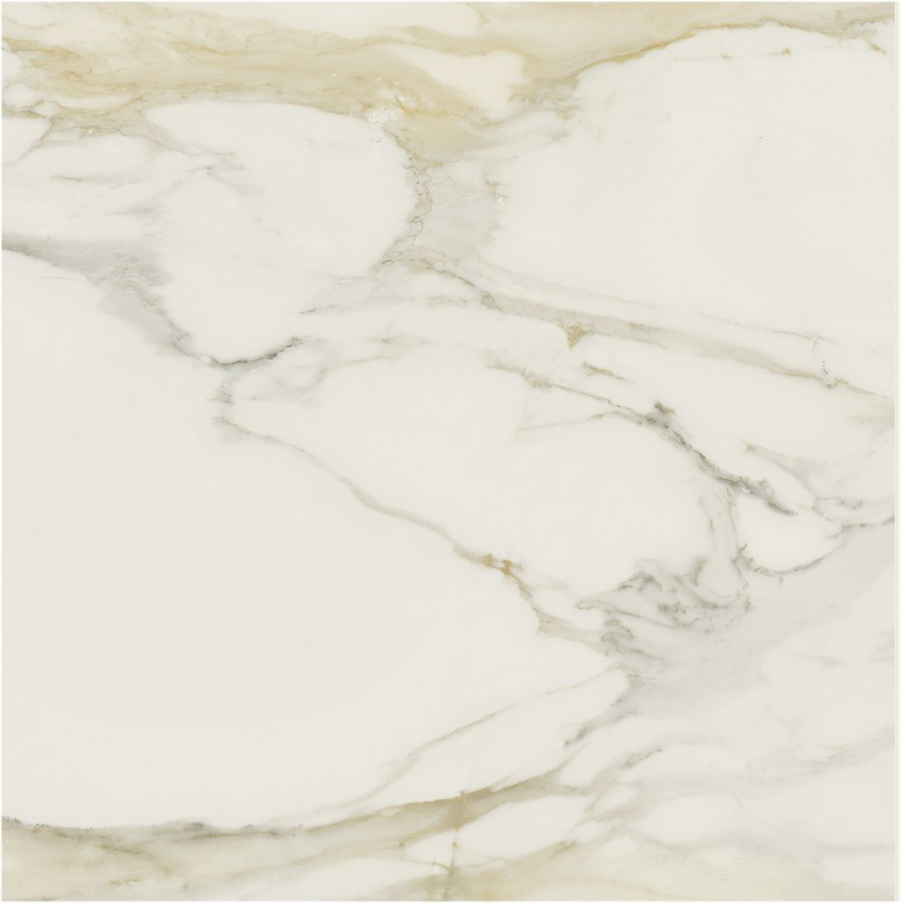 Classici Calacatta Gold Matte 48x48 Porcelain Tile Tilezz