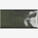 Load image into Gallery viewer, Verdure Forest 3x6 Ceramic Tile