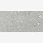 Load image into Gallery viewer, Zenscape Silver 24x48 R Ceramic Tile