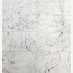 Load image into Gallery viewer, Statuario White 12x12 Polished Marble Field Tile
