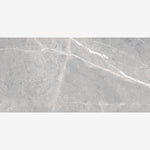 Load image into Gallery viewer, Willow Silver PO 12x24 R Porcelain Tile