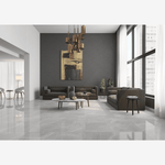Load image into Gallery viewer, Willow Silver PO 12x24 R Porcelain Tile