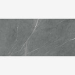 Load image into Gallery viewer, Willow Silver 24x48 R Porcelain Tile Polished/Honed