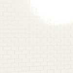 Load image into Gallery viewer, St Lucia Blanco 2.5 x 5 Ceramic Tile Glossy