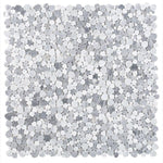 Load image into Gallery viewer, Hudson Mirage Marble Pebble Mosaic