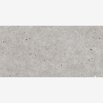 Load image into Gallery viewer, Salamanca Gray 12x24 Basalt Look Porcelain Tile