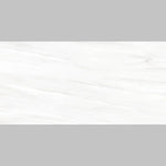 Load image into Gallery viewer, Zenith White PO 24x48 R Porcelain Tile