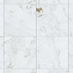 Load image into Gallery viewer, Eterna Marmore Parana 48x48 R Polished Porcelain Tile