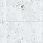 Load image into Gallery viewer, Eterna Marmore Parana 48x48 R Polished Porcelain Tile
