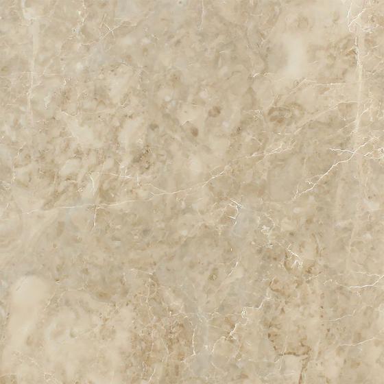 Cappuccino 12x12 Polished Marble Field Tile