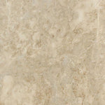 Load image into Gallery viewer, Cappuccino 12x12 Polished Marble Field Tile
