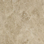 Load image into Gallery viewer, Cappuccino 18x18 Polished Marble Field Tile
