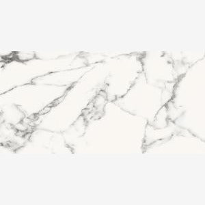 Carrara 24x48 Glossy Porcelain Tile