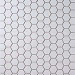 Load image into Gallery viewer, Simple White 2" Hexagon Ceramic Mosaic Matte Flooring Tilezz