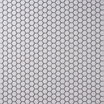 Load image into Gallery viewer, Simple White 1" Hexagon Ceramic Mosaic Matte Tilezz