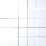 Load image into Gallery viewer, Timeless Ice White 4x4 Ceramic Tile Tilezz