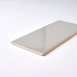 Load image into Gallery viewer, Timeless Soft Gray 4x10 Ceramic Tile Flooring Tilezz