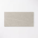 Load image into Gallery viewer, Pigment Silver 12x24 Porcelain Tile Wall & Ceiling Tile Tilezz