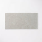 Load image into Gallery viewer, Salamanca Beige 12x24 Basalt Look Porcelain Tile Tilezz