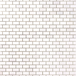 Bianco Dolomite 1x2 Brick Mosaic Polished/Honed Flooring Tilezz 