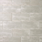 Load image into Gallery viewer, San Fran Gray 4x10 Ceramic Subway Tile Tilezz