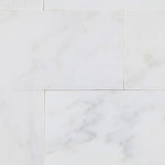 Load image into Gallery viewer, Calacatta Cressa (Asian Statuary) 3x6 Subway Tile Polished &amp; Honed Stone Tilezz 
