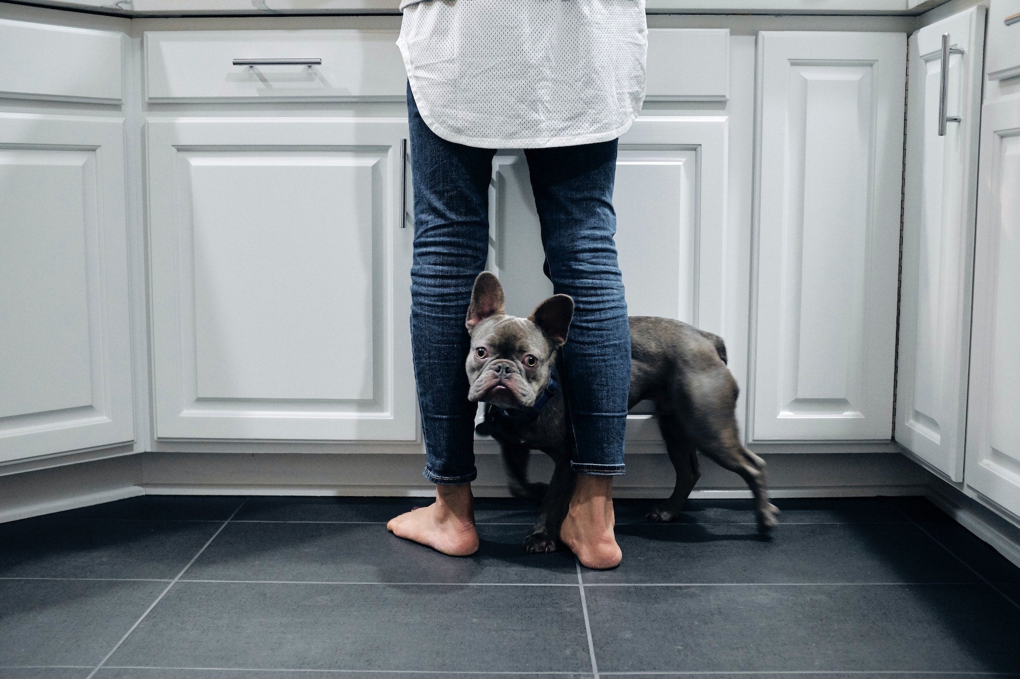 10 Pet-Friendly Tile Recommendations