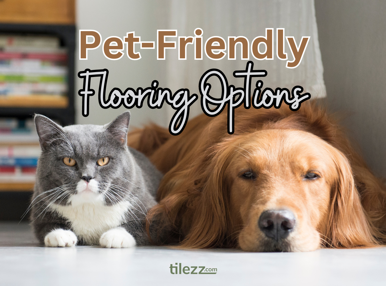 Pet-Friendly Flooring Options