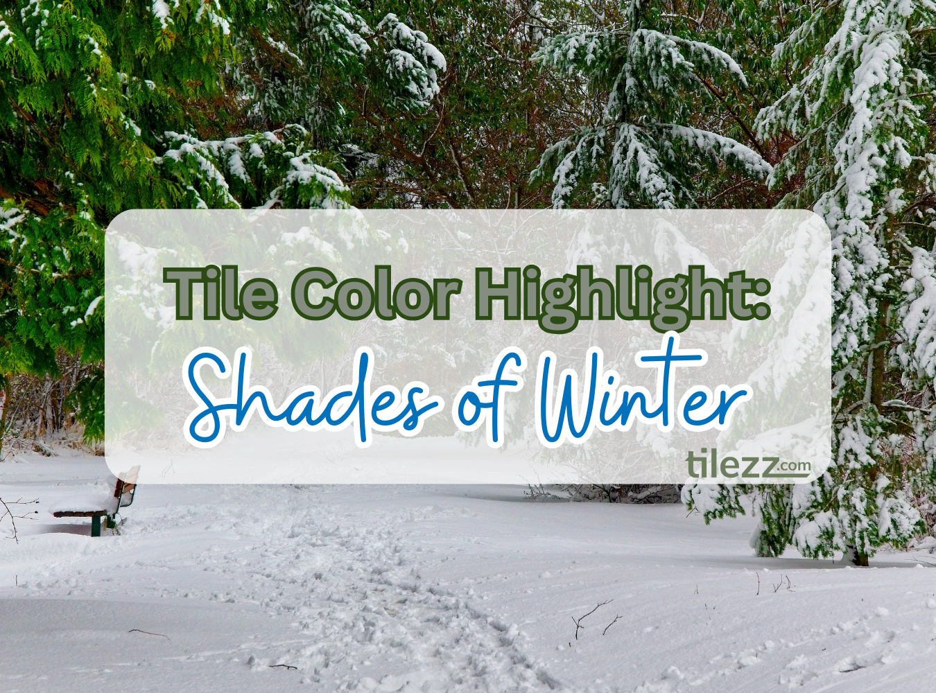 Tile Color Highlight: Shades of Winter