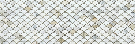 Scallop / Fish Scale