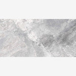 Load image into Gallery viewer, Supreme Silver Levigato (R/L) 12x24 Porcelain Tile
