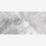 Load image into Gallery viewer, Supreme Silver Naturale (RET) 12x24 Porcelain Tile
