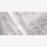 Load image into Gallery viewer, Supreme Silver Naturale (RET) 12x24 Porcelain Tile
