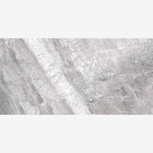 Supreme Silver Naturale (RET) 12x24 Porcelain Tile