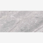 Load image into Gallery viewer, Supreme Silver Naturale (RET) 12x24 Porcelain Tile
