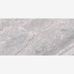 Supreme Silver Naturale (RET) 12x24 Porcelain Tile