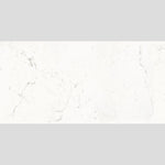 Load image into Gallery viewer, Pure Carrara Lux 24x48 Porcelain Tile
