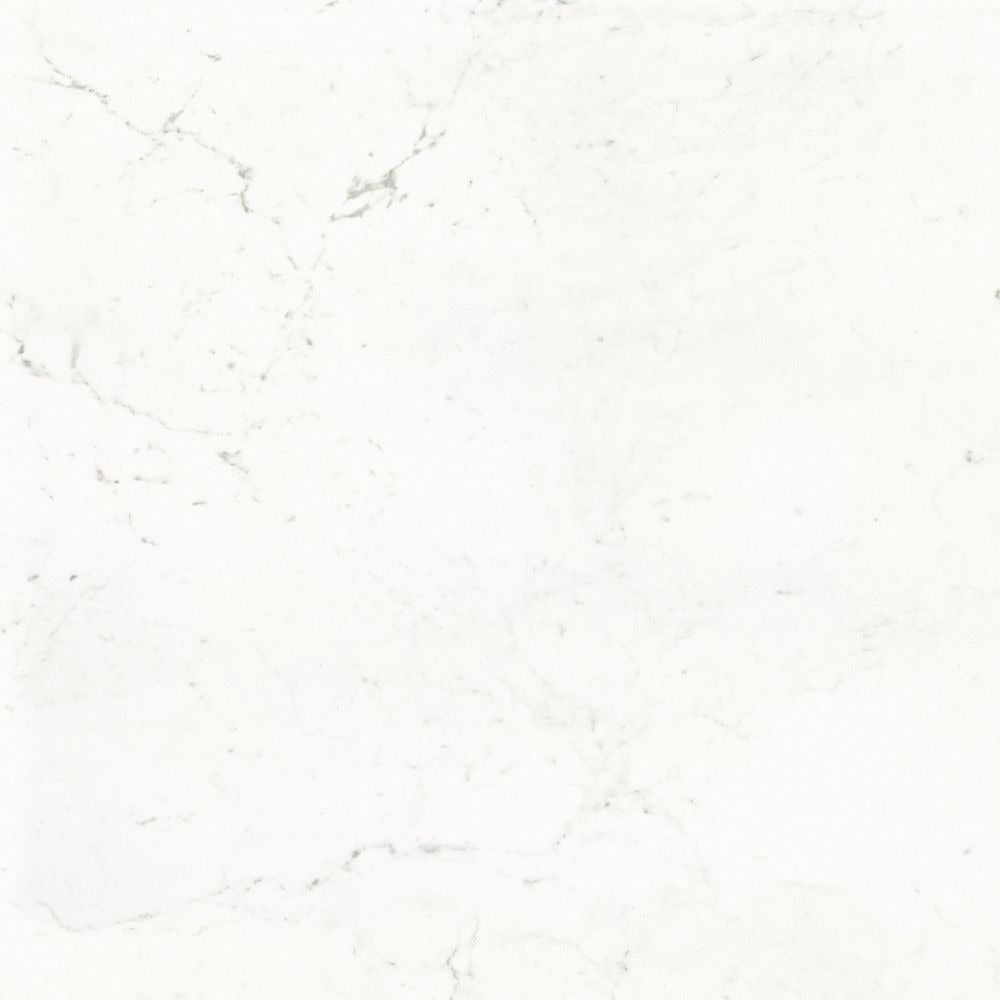 Pure Carrara Nat 48x48 Porcelain Tile