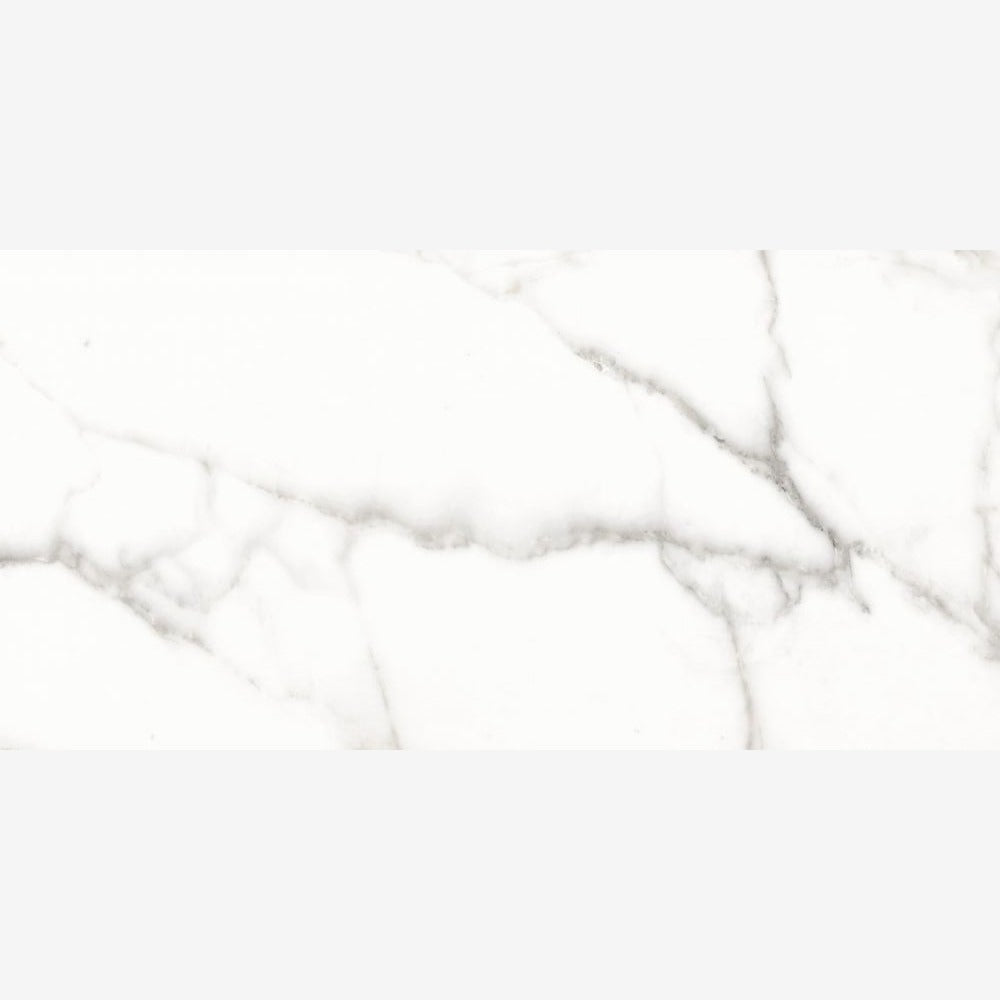 Trilogy Calacatta White Soft 12x24 Porcelain Tile