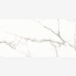 Load image into Gallery viewer, Trilogy Calacatta White Soft 12x24 Porcelain Tile
