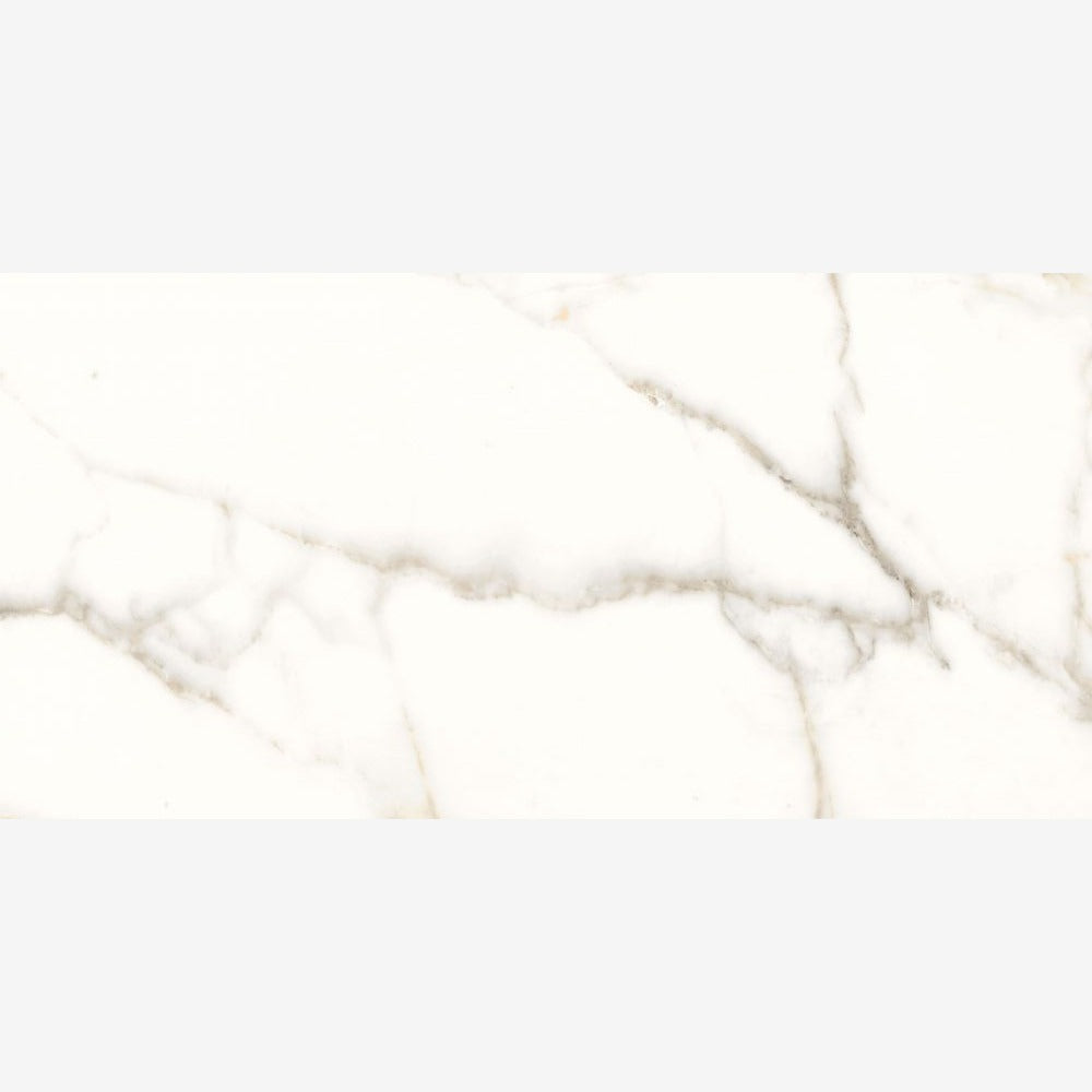 Trilogy Calacatta White Lux 24x48 Porcelain Tile