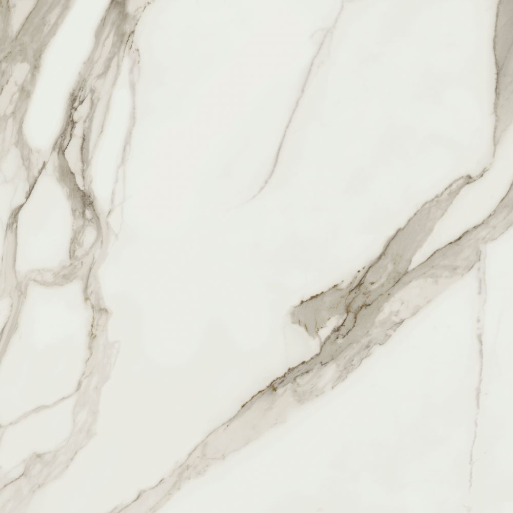 Prestigio Calacatta Soft 48x48 Porcelain Tile