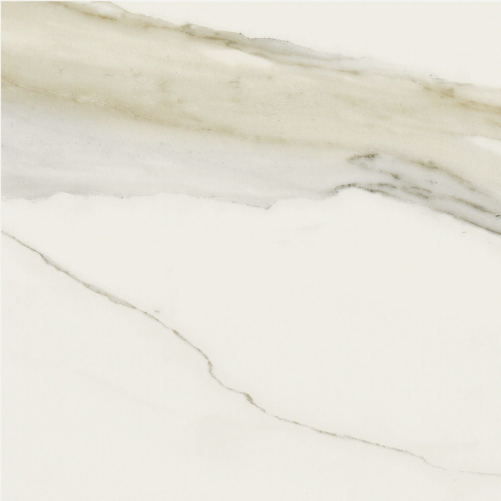 Classici Calacatta Gold Glossy 24x24 Porcelain Tile