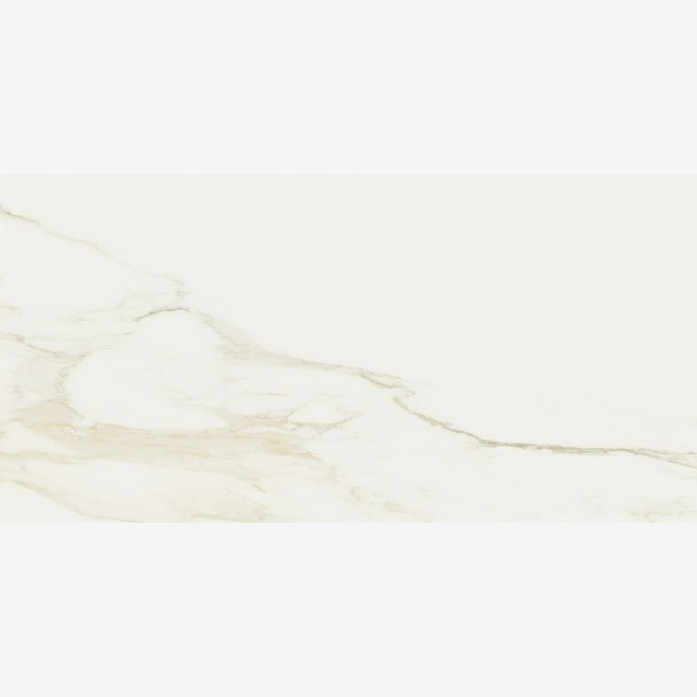 Classici Calacatta Gold Matte 24x48 Porcelain Tile