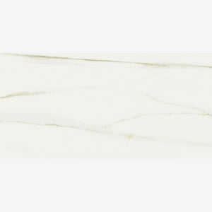 Classici Calacatta Gold Matte 24x48 Porcelain Tile