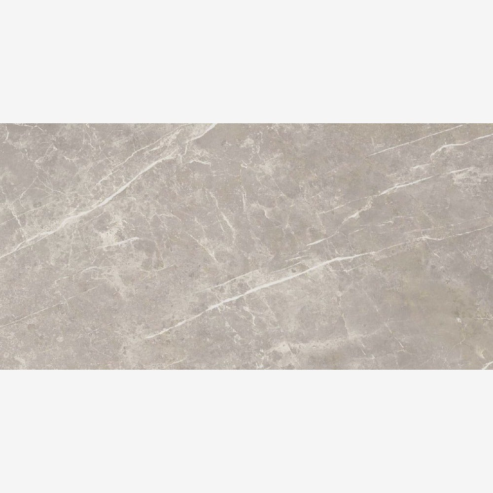 Dolomia Grey Nat 24x48 Porcelain Tile Sample – Tilezz