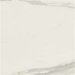 Load image into Gallery viewer, Classici Calacatta Gold Glossy 48x48 Porcelain Tile
