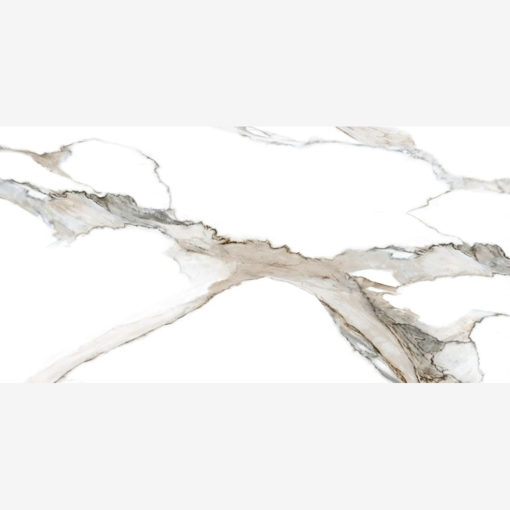 Calacatta Fantasy Topo Polished 24x48 Porcelain Tile