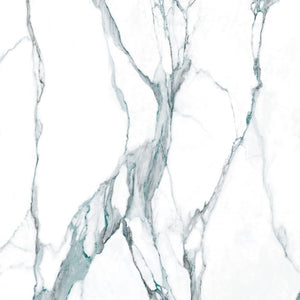 Calacatta Fantasy Green Polished 48x48 Porcelain Tile