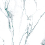 Load image into Gallery viewer, Calacatta Fantasy Green Polished 48x48 Porcelain Tile
